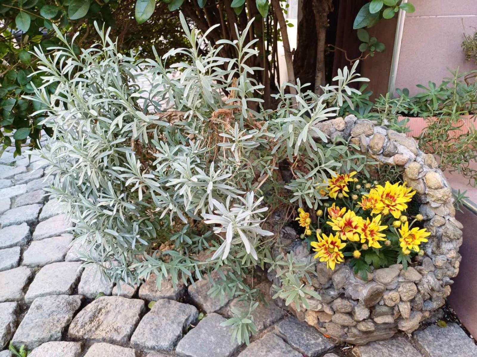 Residence Art Guest House Plovdiv Exterior foto